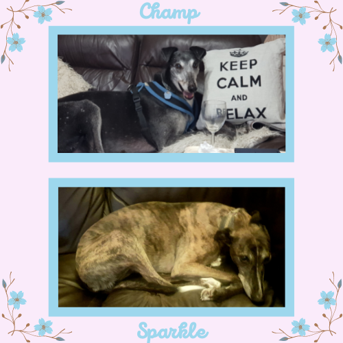 Champ and Sparkle